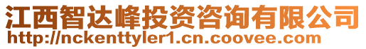 江西智達峰投資咨詢有限公司