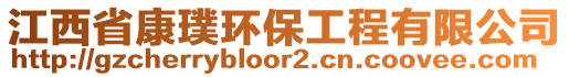 江西省康璞環(huán)保工程有限公司