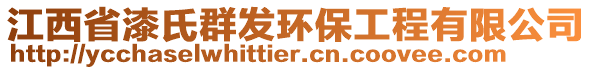 江西省漆氏群發(fā)環(huán)保工程有限公司