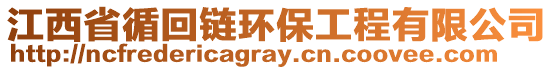 江西省循回鏈環(huán)保工程有限公司