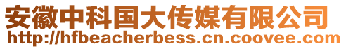 安徽中科國(guó)大傳媒有限公司