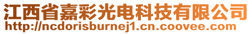 江西省嘉彩光電科技有限公司