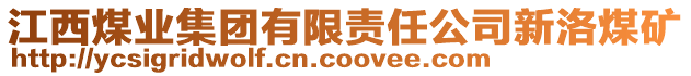 江西煤業(yè)集團有限責(zé)任公司新洛煤礦