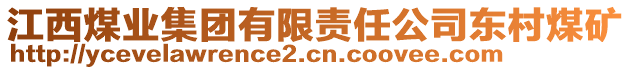 江西煤業(yè)集團有限責任公司東村煤礦