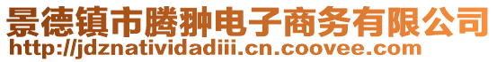 景德镇市腾翀电子商务有限公司