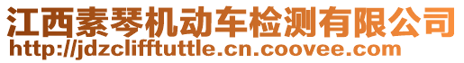 江西素琴機動車檢測有限公司