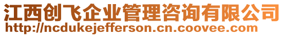 江西創(chuàng)飛企業(yè)管理咨詢有限公司