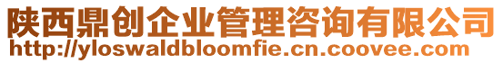 陜西鼎創(chuàng)企業(yè)管理咨詢有限公司