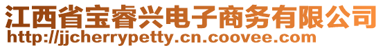 江西省寶睿興電子商務(wù)有限公司