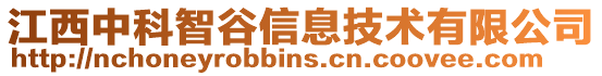 江西中科智谷信息技術有限公司
