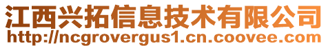 江西興拓信息技術有限公司