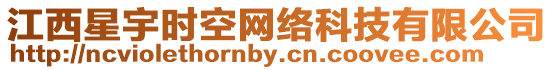 江西星宇時空網絡科技有限公司