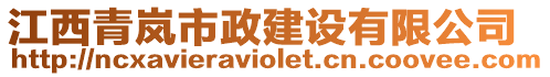 江西青嵐市政建設(shè)有限公司