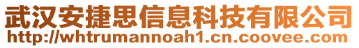 武漢安捷思信息科技有限公司