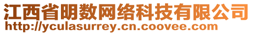 江西省明數(shù)網(wǎng)絡(luò)科技有限公司