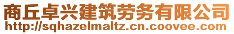 商丘卓興建筑勞務(wù)有限公司