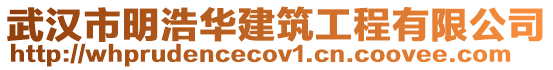 武漢市明浩華建筑工程有限公司