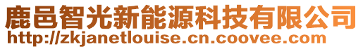 鹿邑智光新能源科技有限公司