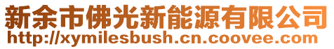 新余市佛光新能源有限公司