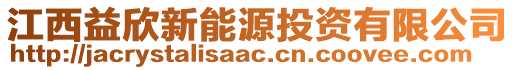 江西益欣新能源投資有限公司