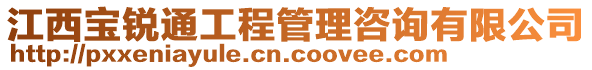 江西宝锐通工程管理咨询有限公司