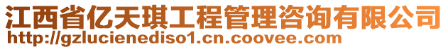 江西省億天琪工程管理咨詢有限公司