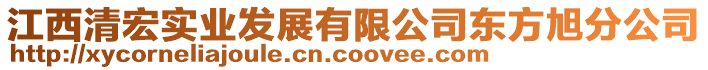 江西清宏實業(yè)發(fā)展有限公司東方旭分公司