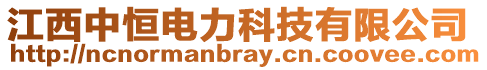 江西中恒電力科技有限公司