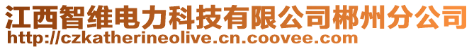 江西智維電力科技有限公司郴州分公司