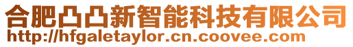 合肥凸凸新智能科技有限公司