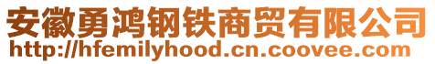 安徽勇鴻鋼鐵商貿(mào)有限公司