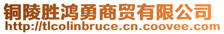 铜陵胜鸿勇商贸有限公司