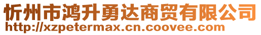 忻州市鴻升勇達商貿(mào)有限公司