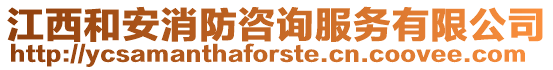 江西和安消防咨詢服務(wù)有限公司