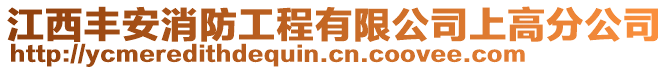 江西豐安消防工程有限公司上高分公司