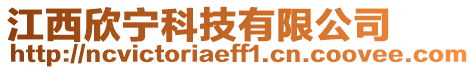 江西欣寧科技有限公司