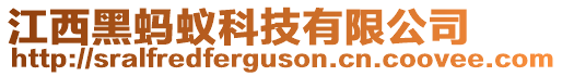 江西黑螞蟻科技有限公司