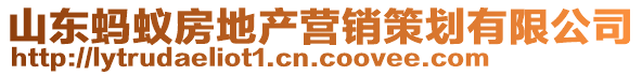 山東螞蟻房地產(chǎn)營(yíng)銷(xiāo)策劃有限公司