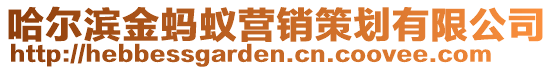 哈爾濱金螞蟻營銷策劃有限公司