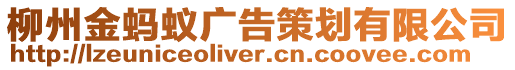 柳州金螞蟻廣告策劃有限公司