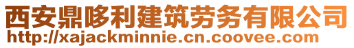 西安鼎哆利建筑勞務(wù)有限公司