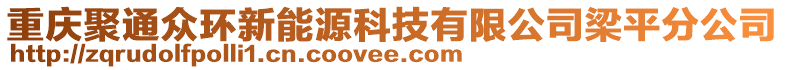 重慶聚通眾環(huán)新能源科技有限公司梁平分公司