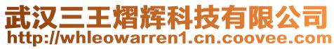 武漢三王熠輝科技有限公司