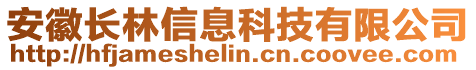 安徽長林信息科技有限公司