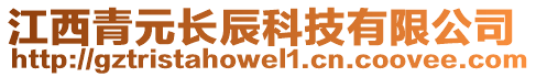 江西青元長辰科技有限公司