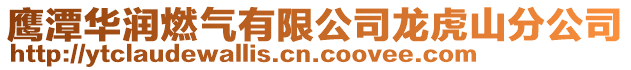 鷹潭華潤燃氣有限公司龍虎山分公司