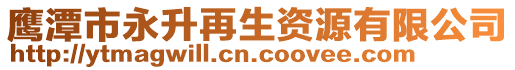 鷹潭市永升再生資源有限公司