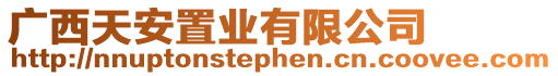 廣西天安置業有限公司