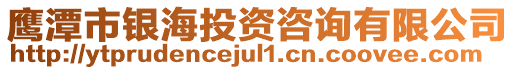 鷹潭市銀海投資咨詢有限公司