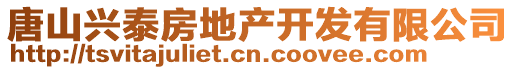 唐山興泰房地產(chǎn)開發(fā)有限公司